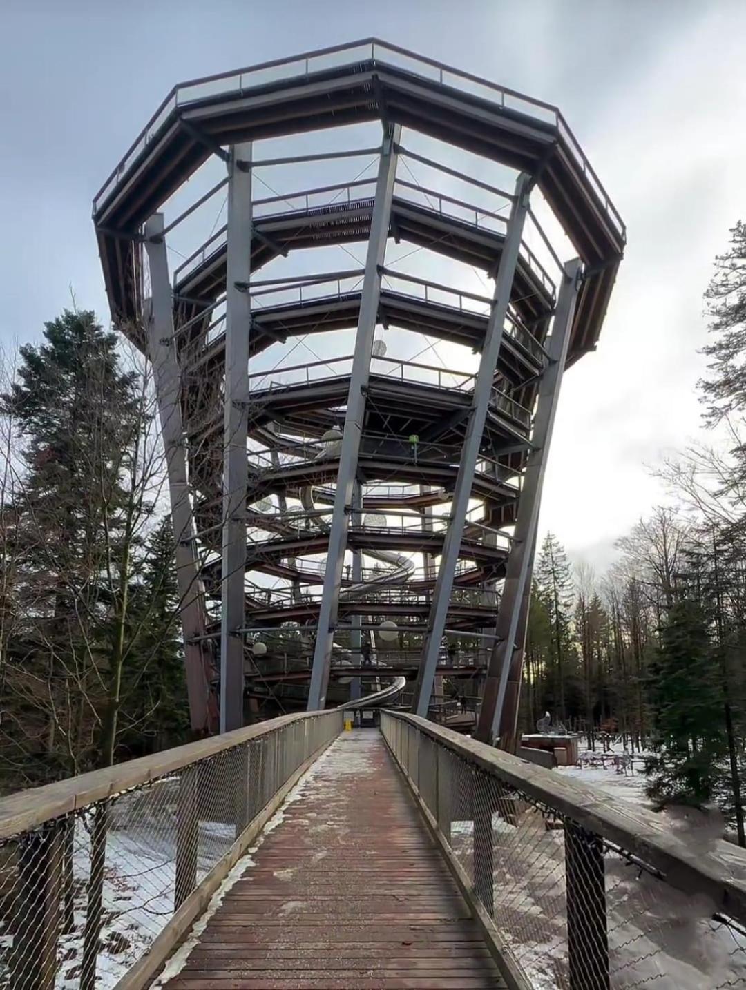 Апартаменти Waldhaus Max Бад-Вільдбад Екстер'єр фото
